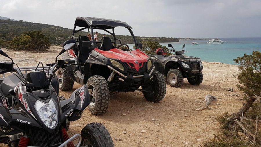 Safaris Exciting 3 Hour Safari Adventure